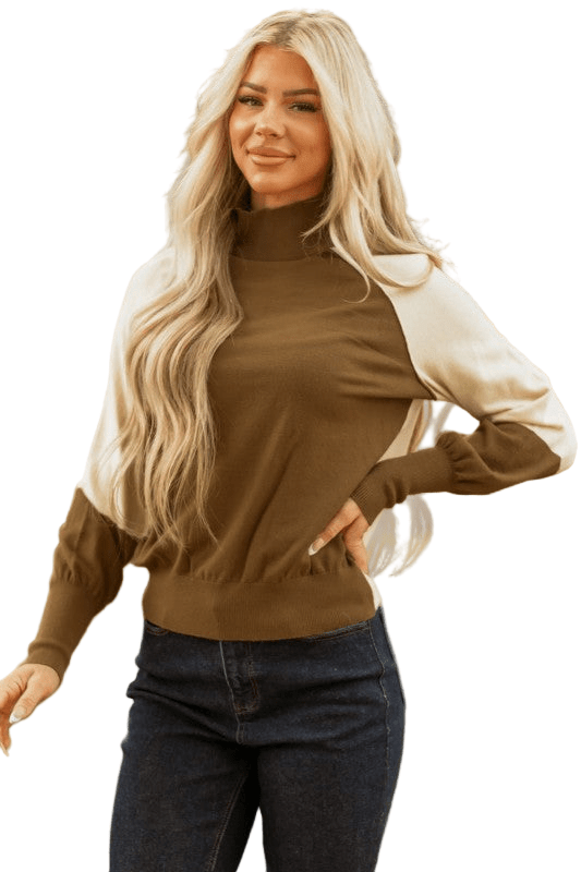 Colorblock Raglan Puff Long Sleeve Mock Neck Sweater - Robbi & Angel