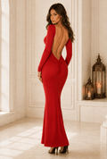 Ella Elegant Long Sleeve Backless Bodycon - Robbi & Angel