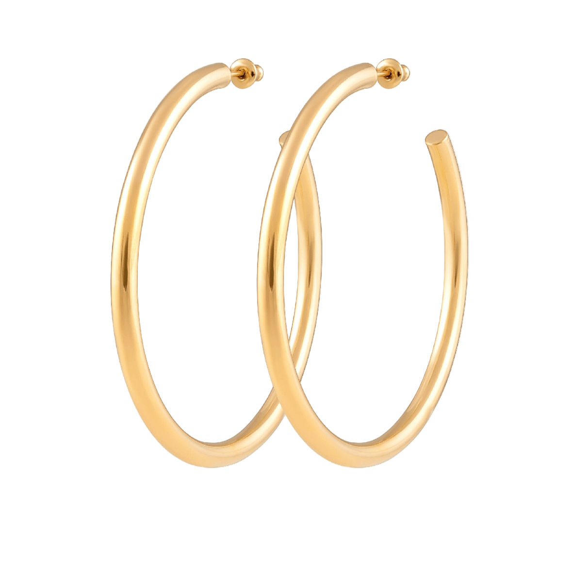 Isabella Signature Tube Hoop Earrings - Robbi & Angel