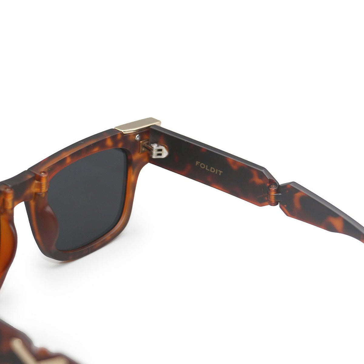Tiffany Fold It Tortoise - Robbi & Angel