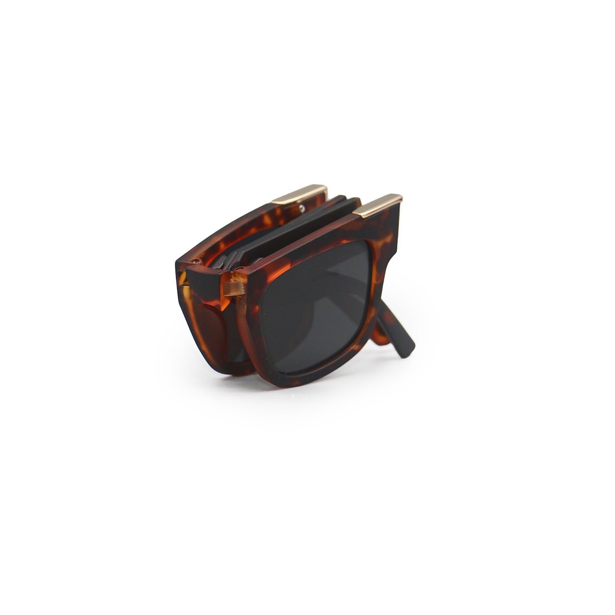 Tiffany Fold It Tortoise - Robbi & Angel