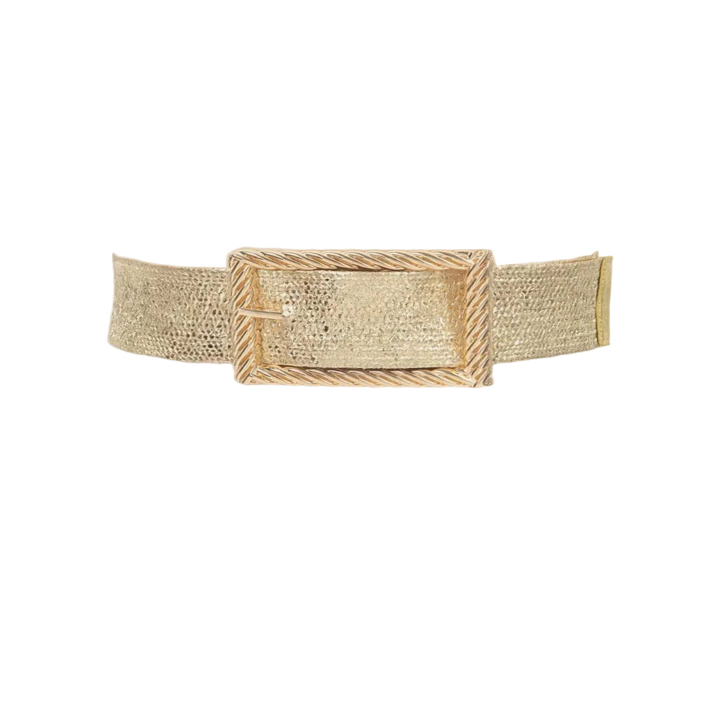 Wide Metal Buckle Plus Size Clear Belt - Robbi & Angel