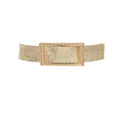 Wide Metal Buckle Plus Size Clear Belt - Robbi & Angel